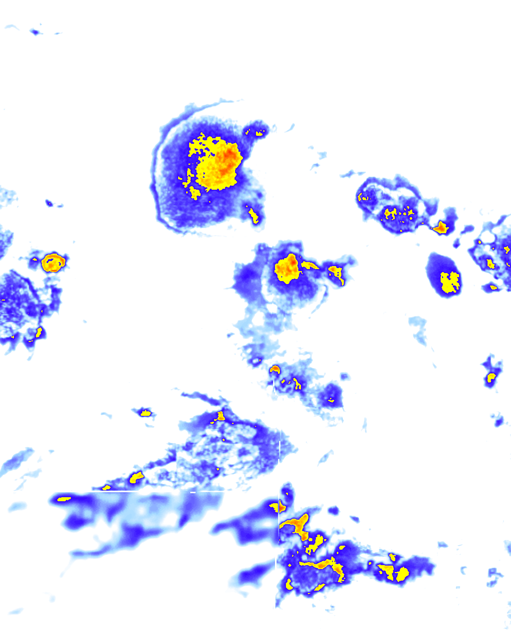 rainLayer