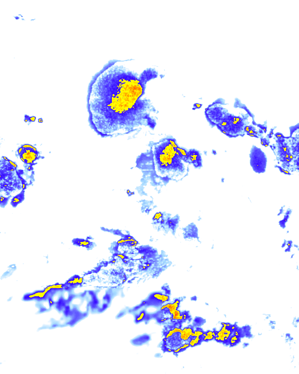 rainLayer
