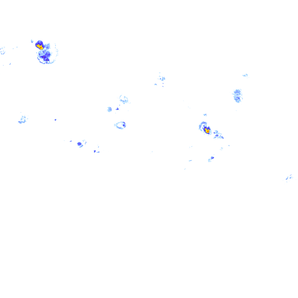 rainLayer