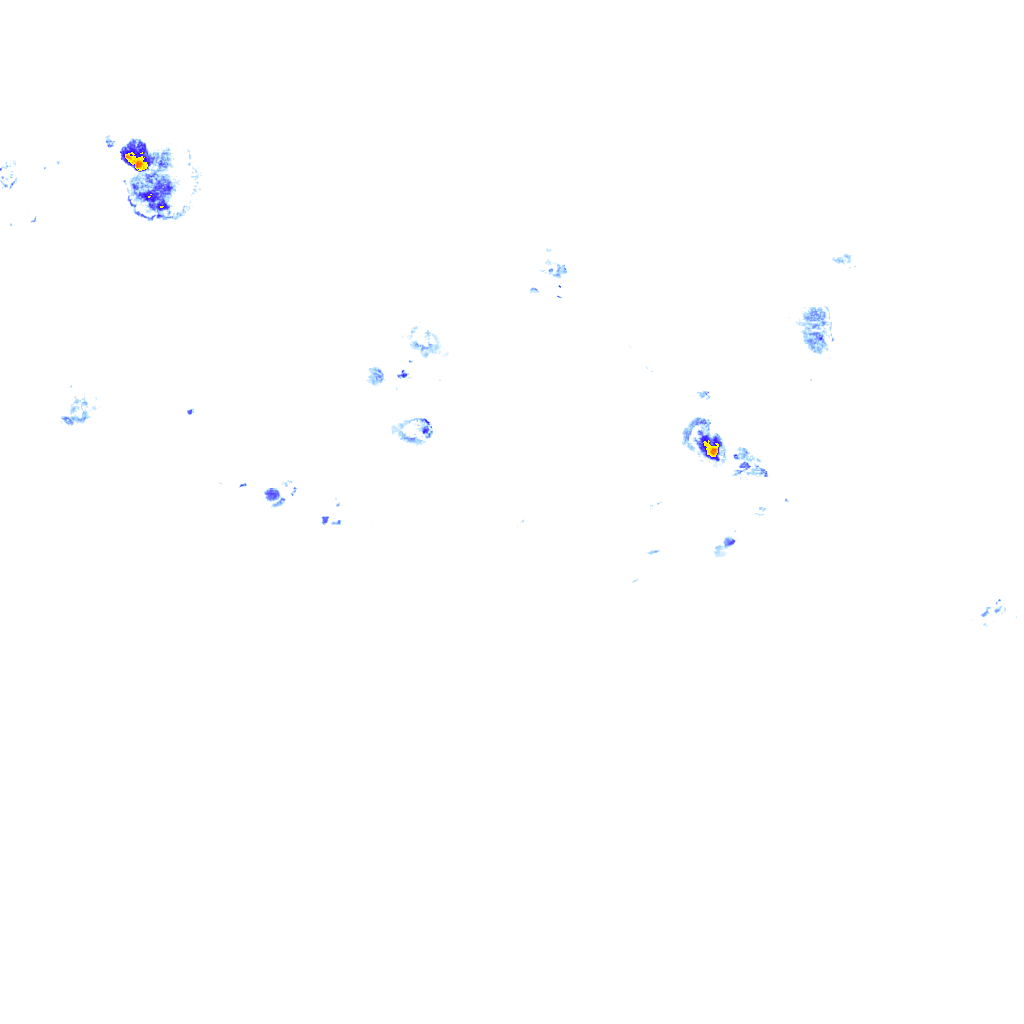 rainLayer
