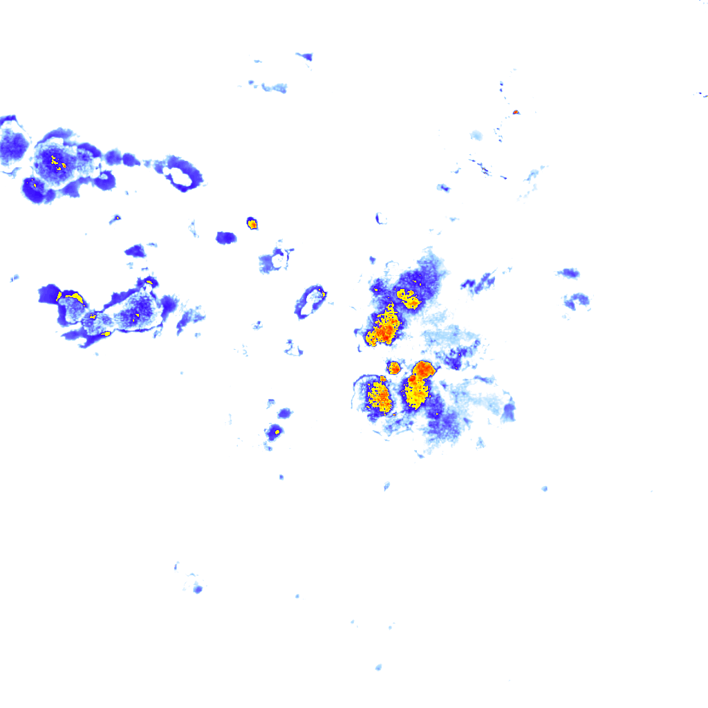 rainLayer