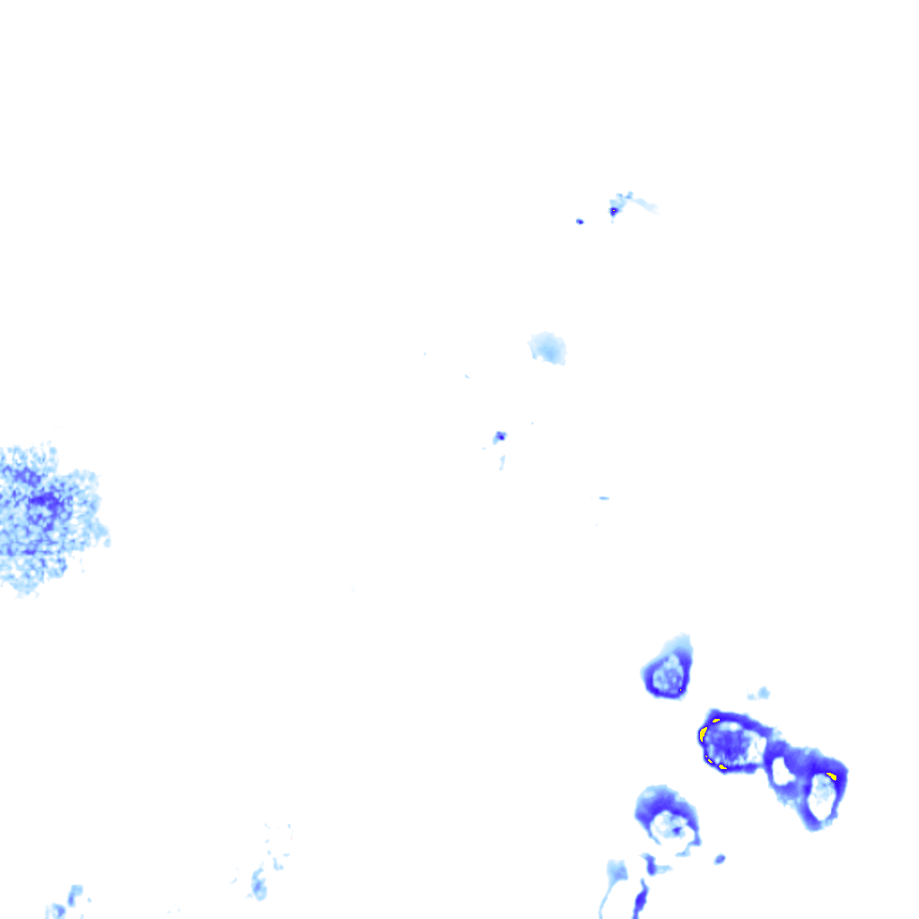 rainLayer