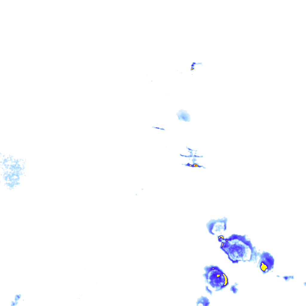 rainLayer