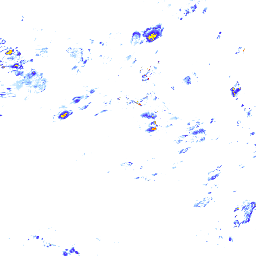 rainLayer