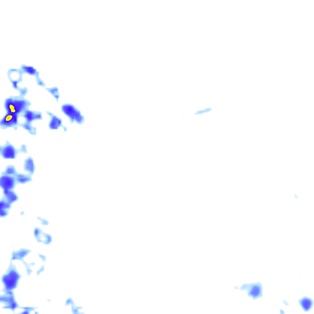 rainLayer