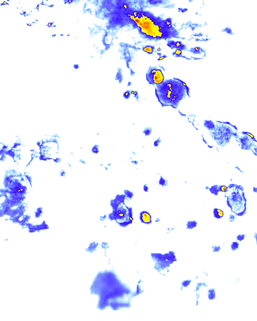 rainLayer