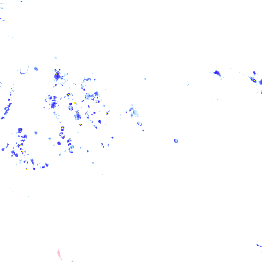 rainLayer
