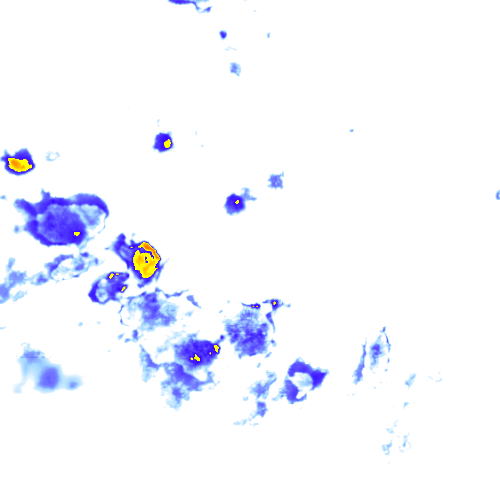 rainLayer