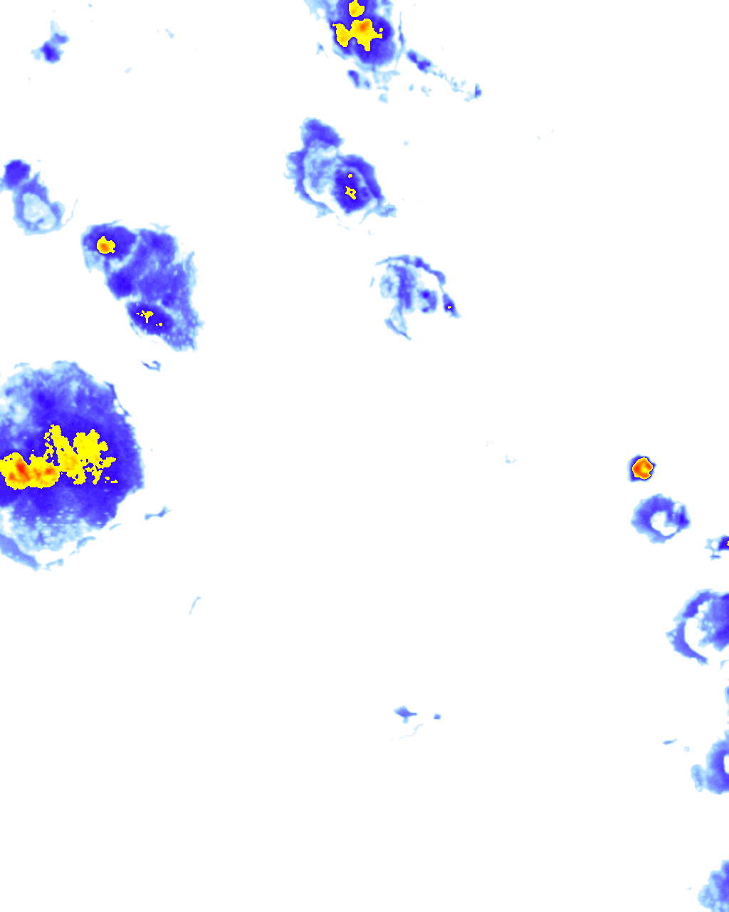 Image Layer