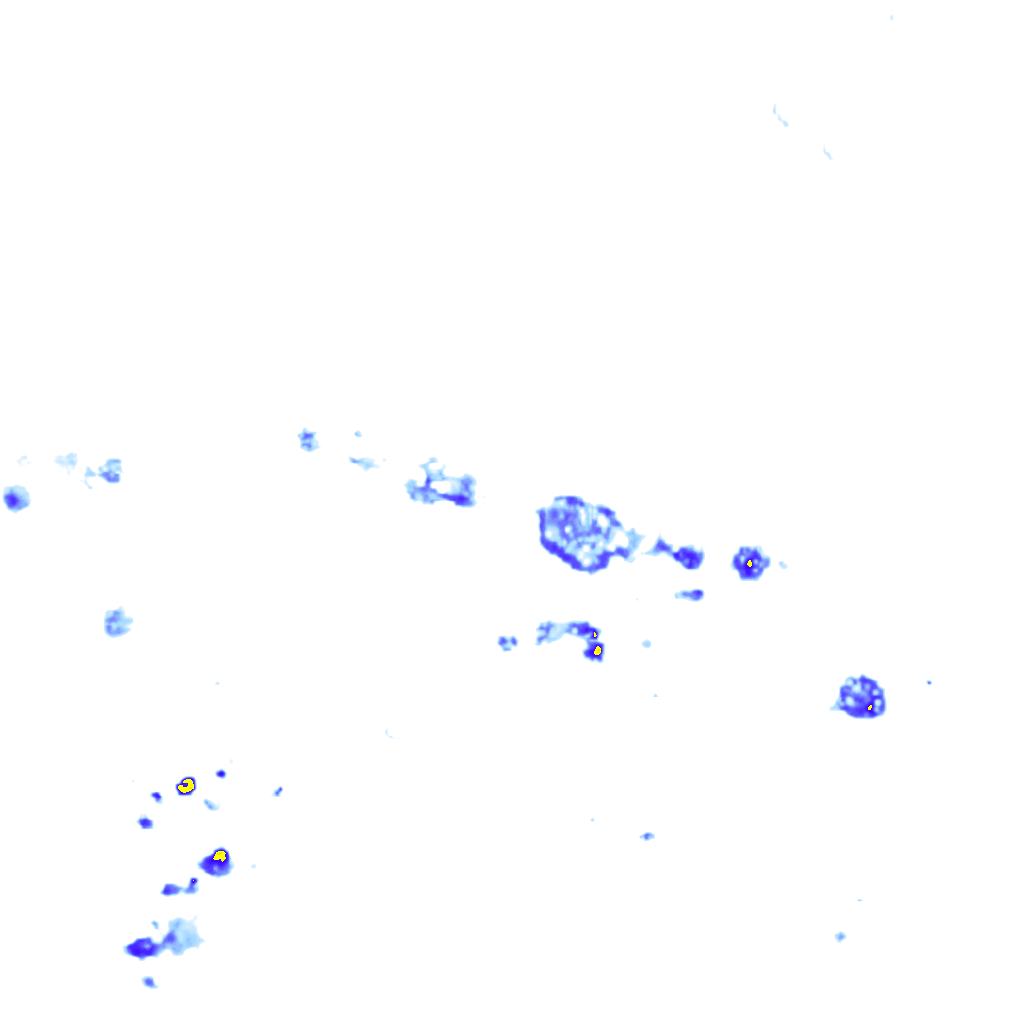 rainLayer