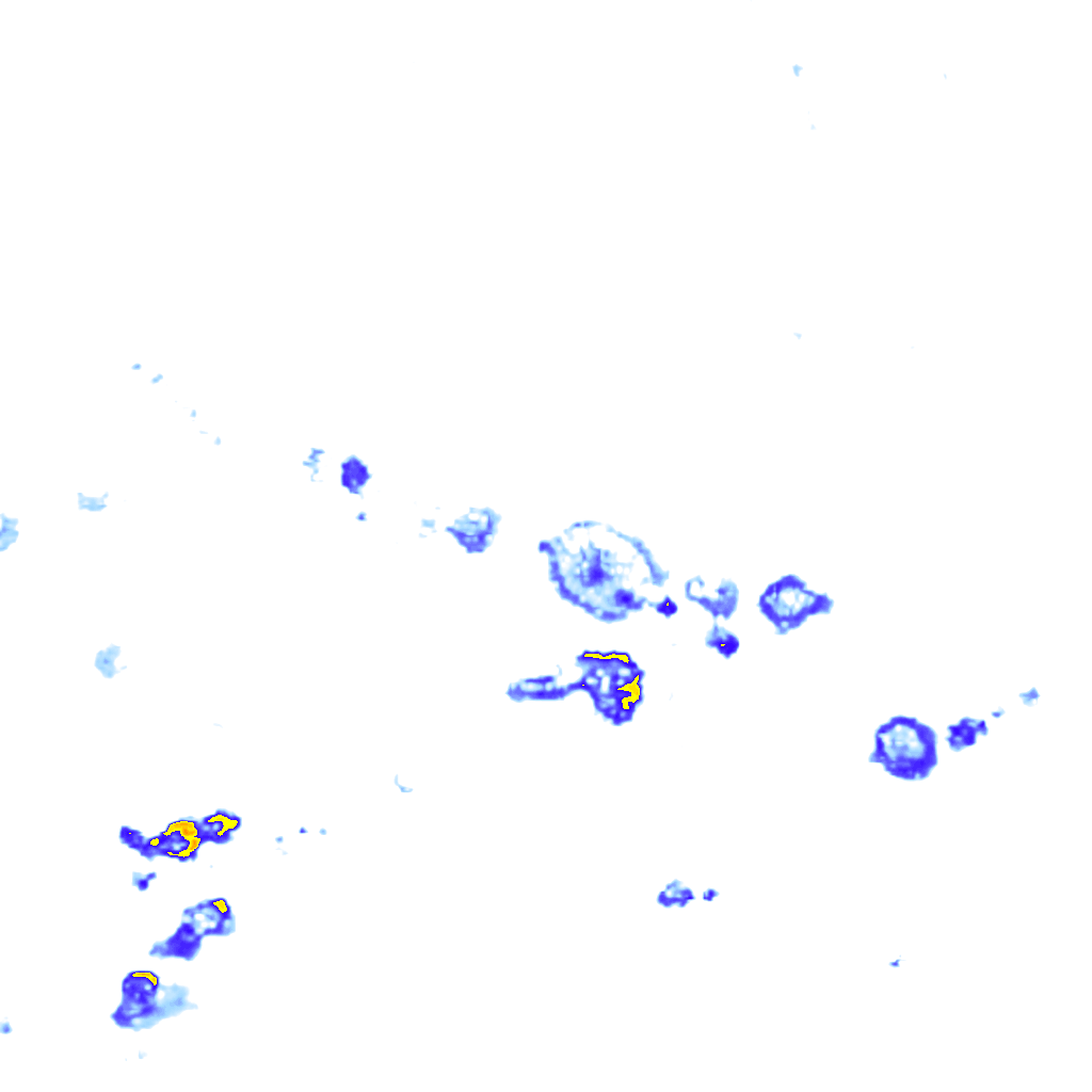 rainLayer