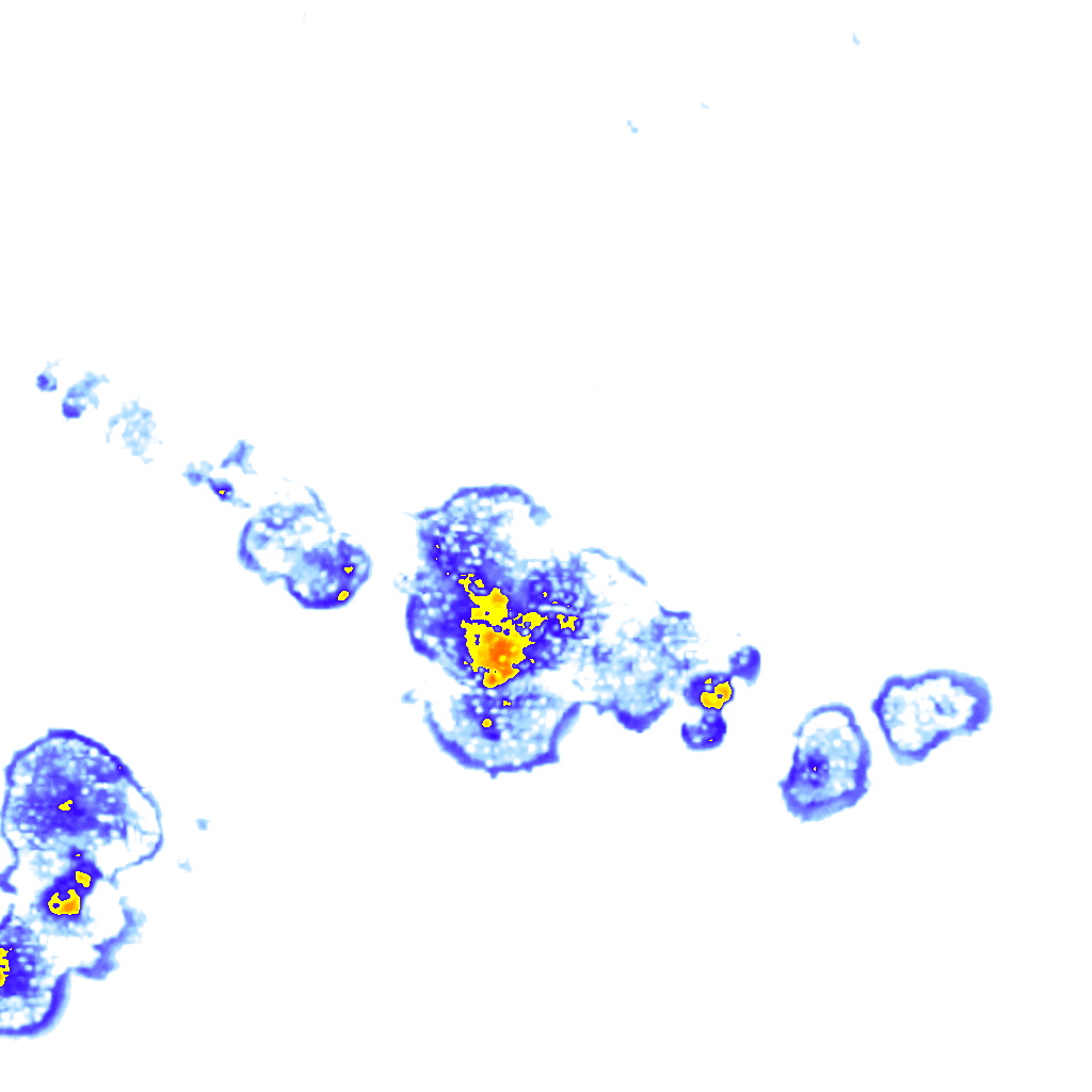 rainLayer