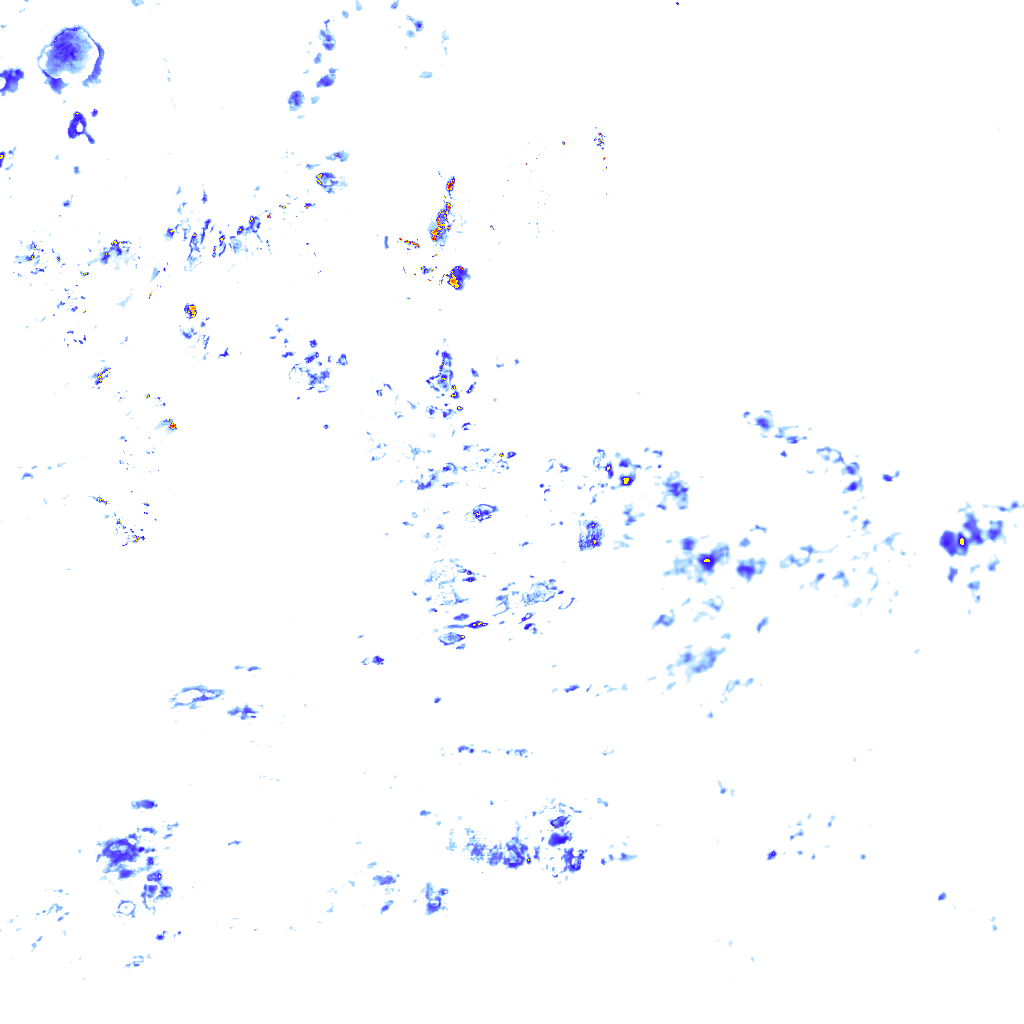 rainLayer