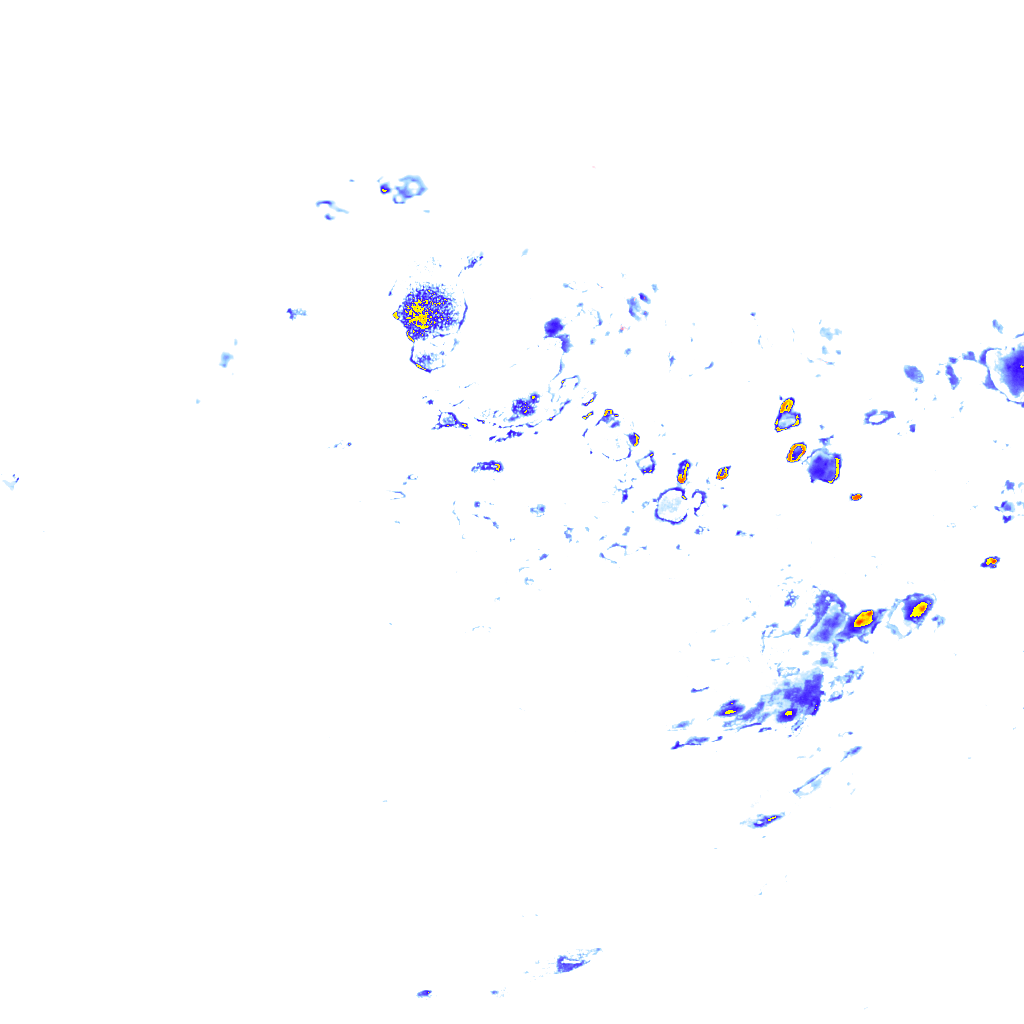 rainLayer