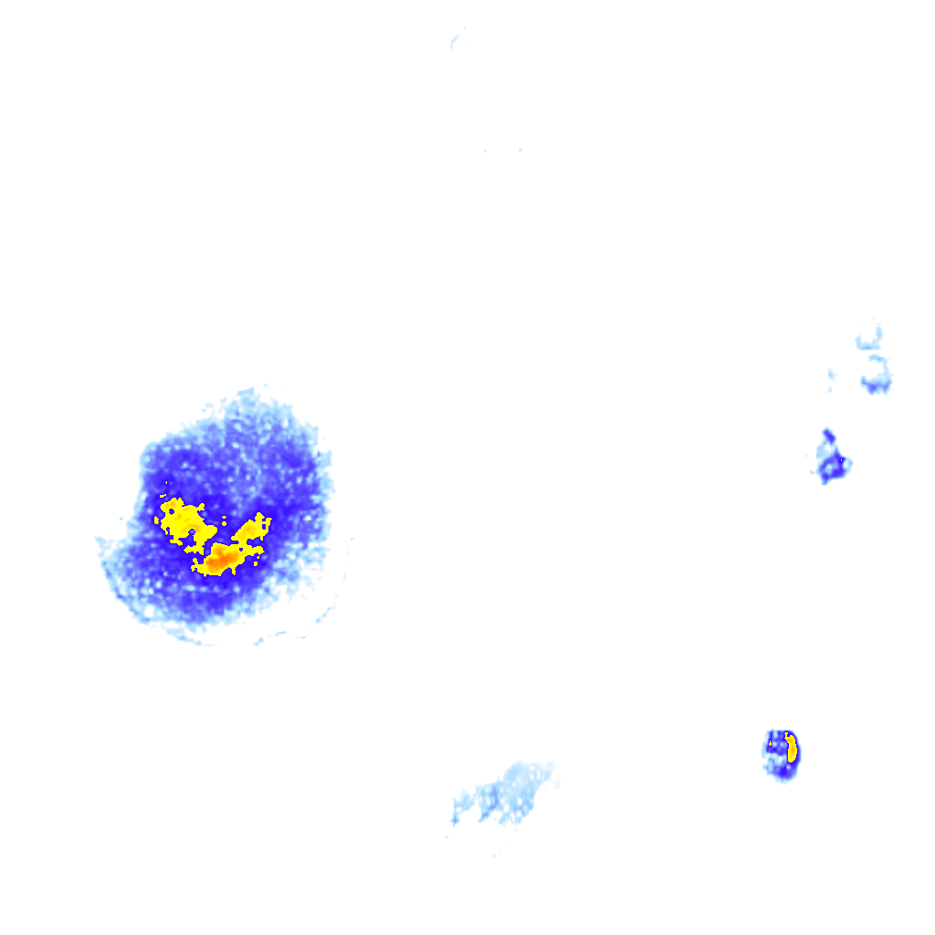 Image Layer