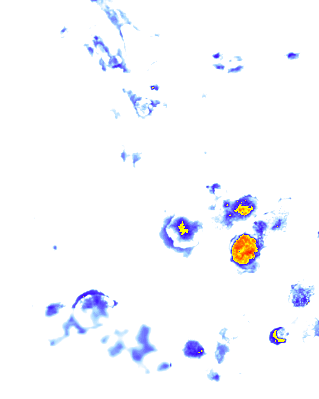 Image Layer