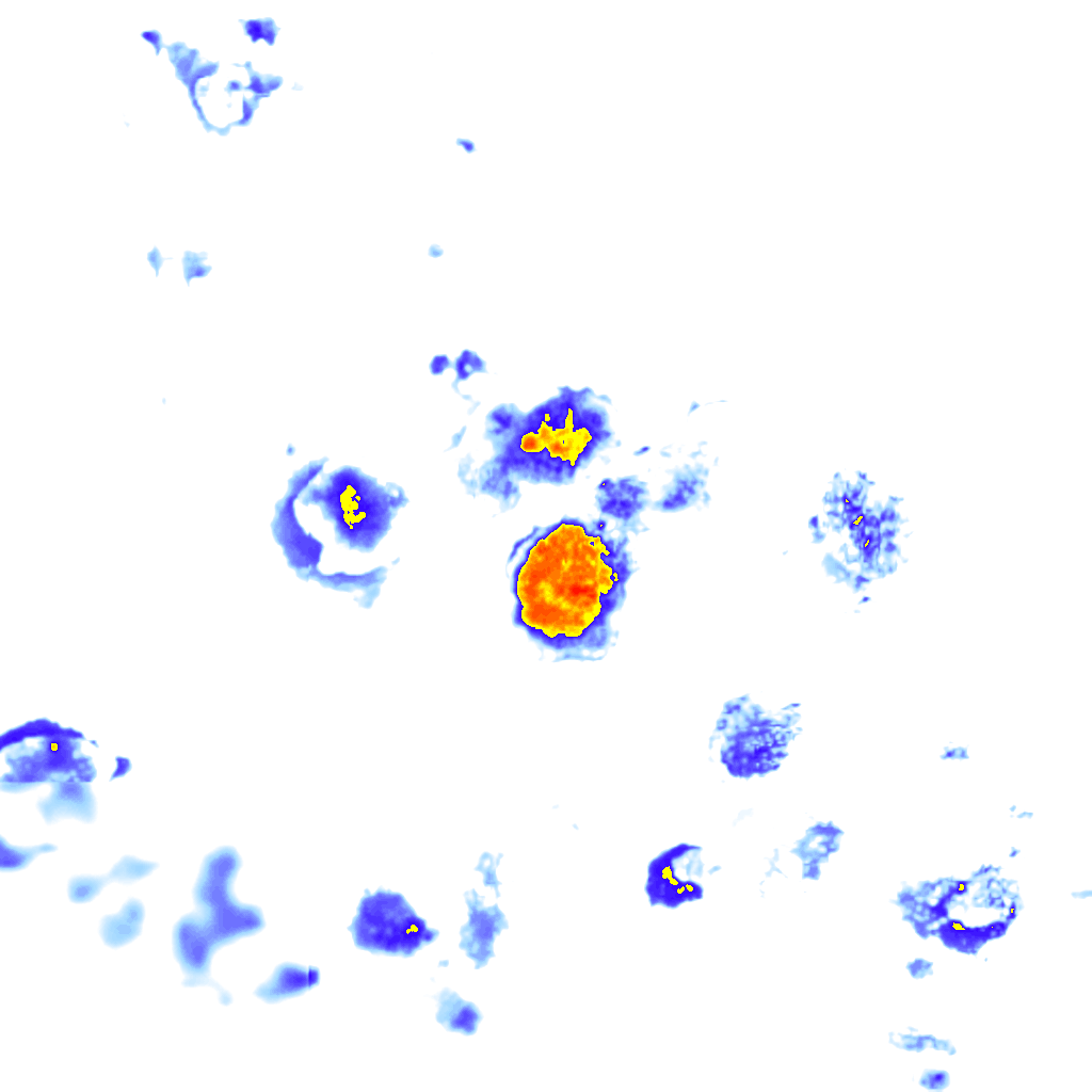 Image Layer