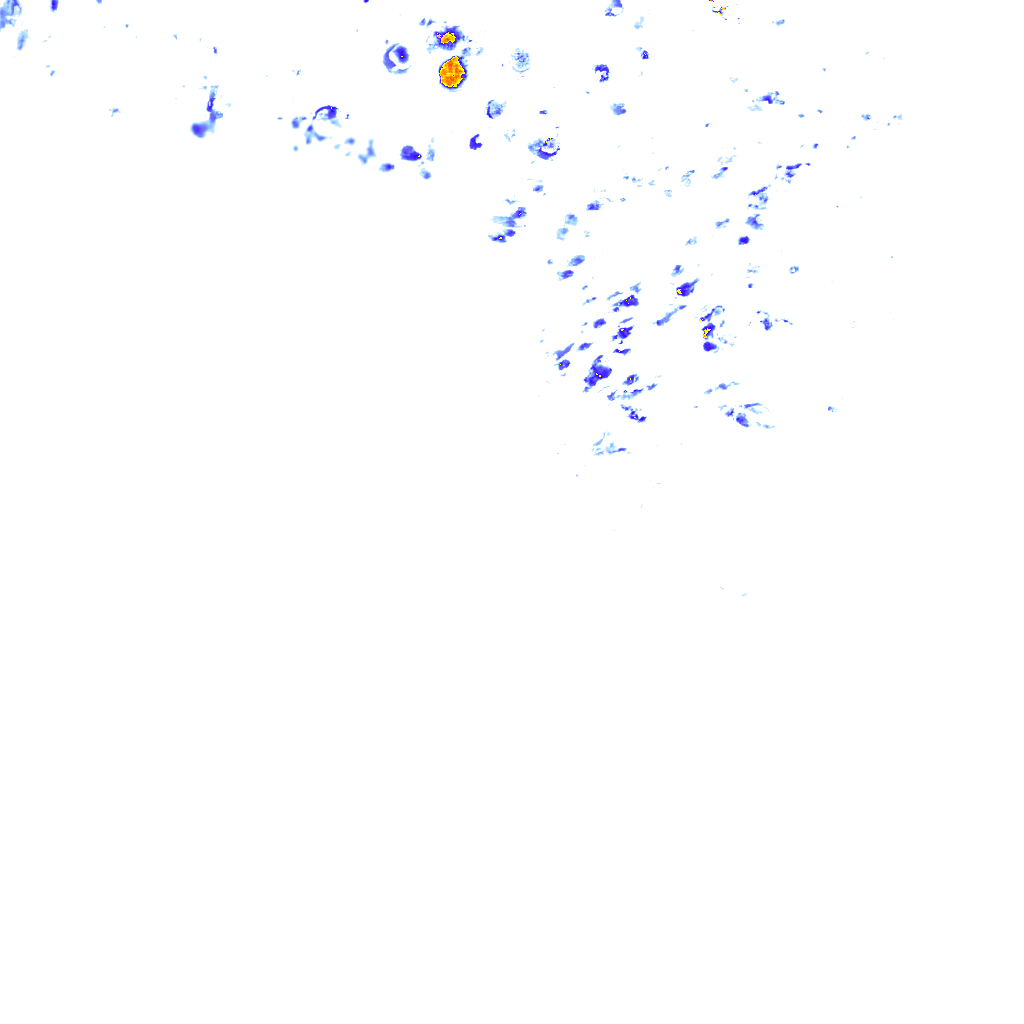 rainLayer