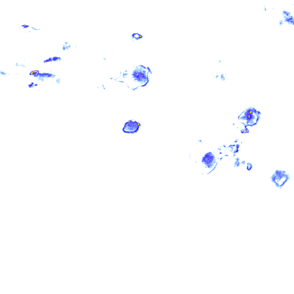 Image Layer