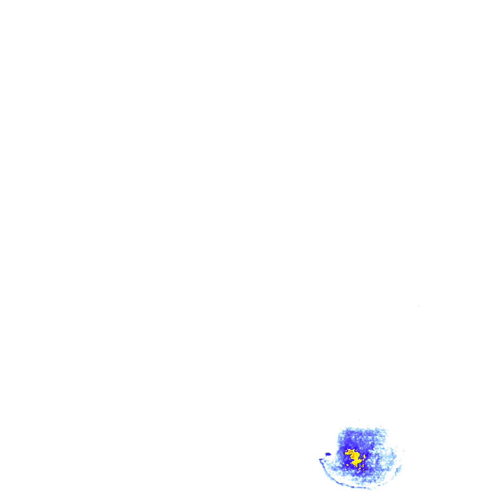 rainLayer