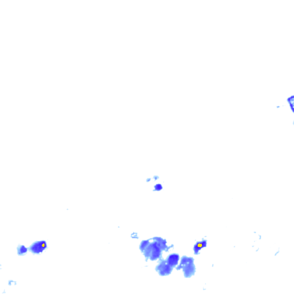 rainLayer