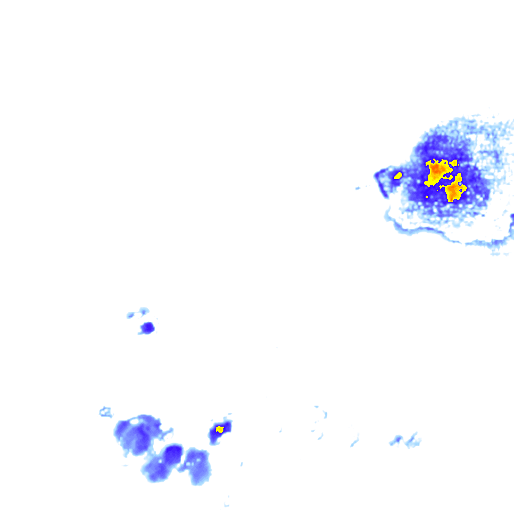 rainLayer