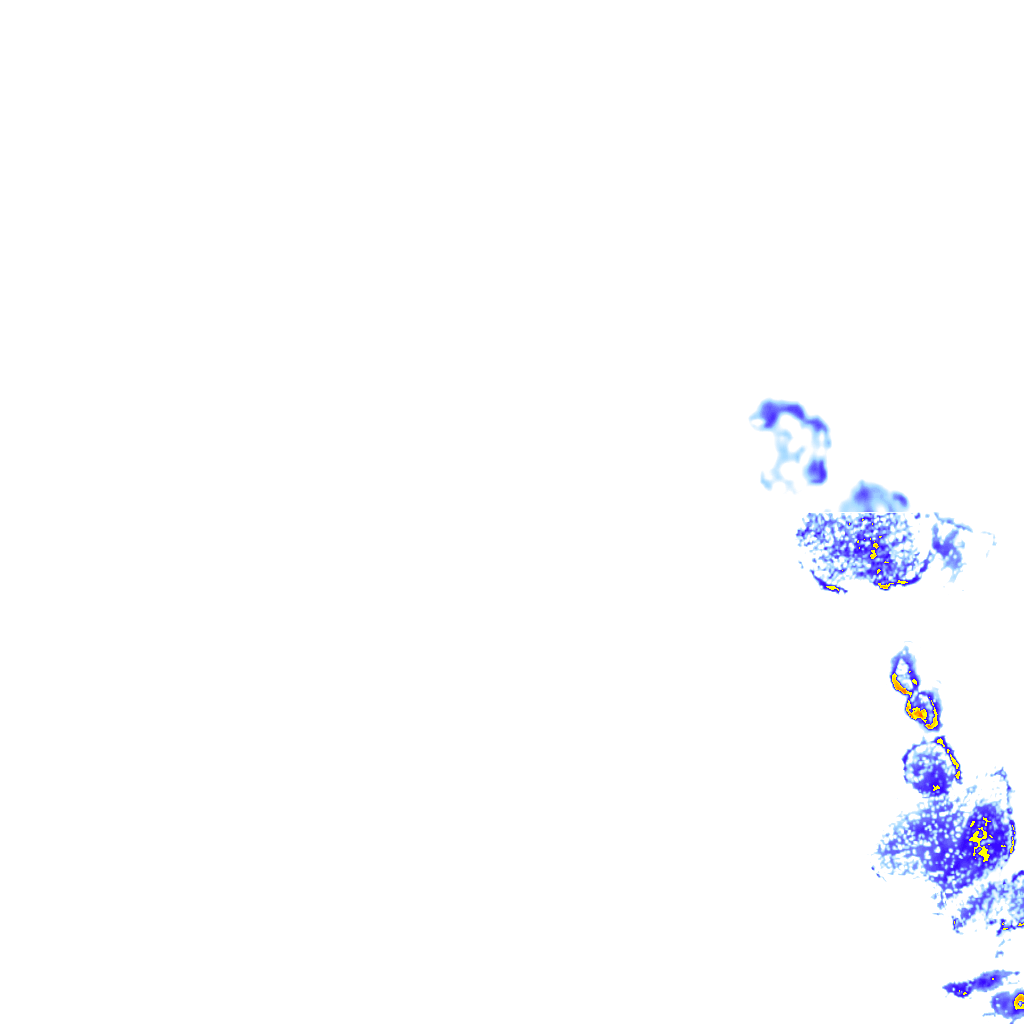 rainLayer