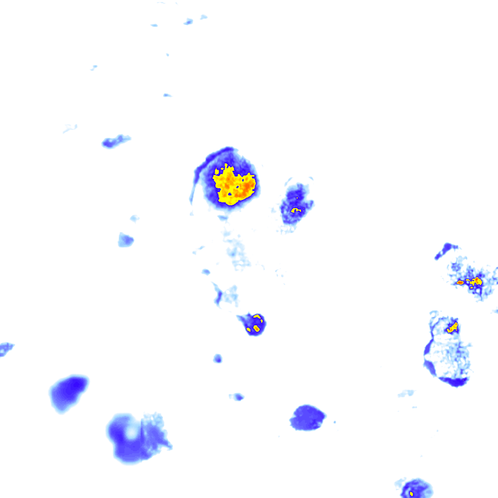 Image Layer