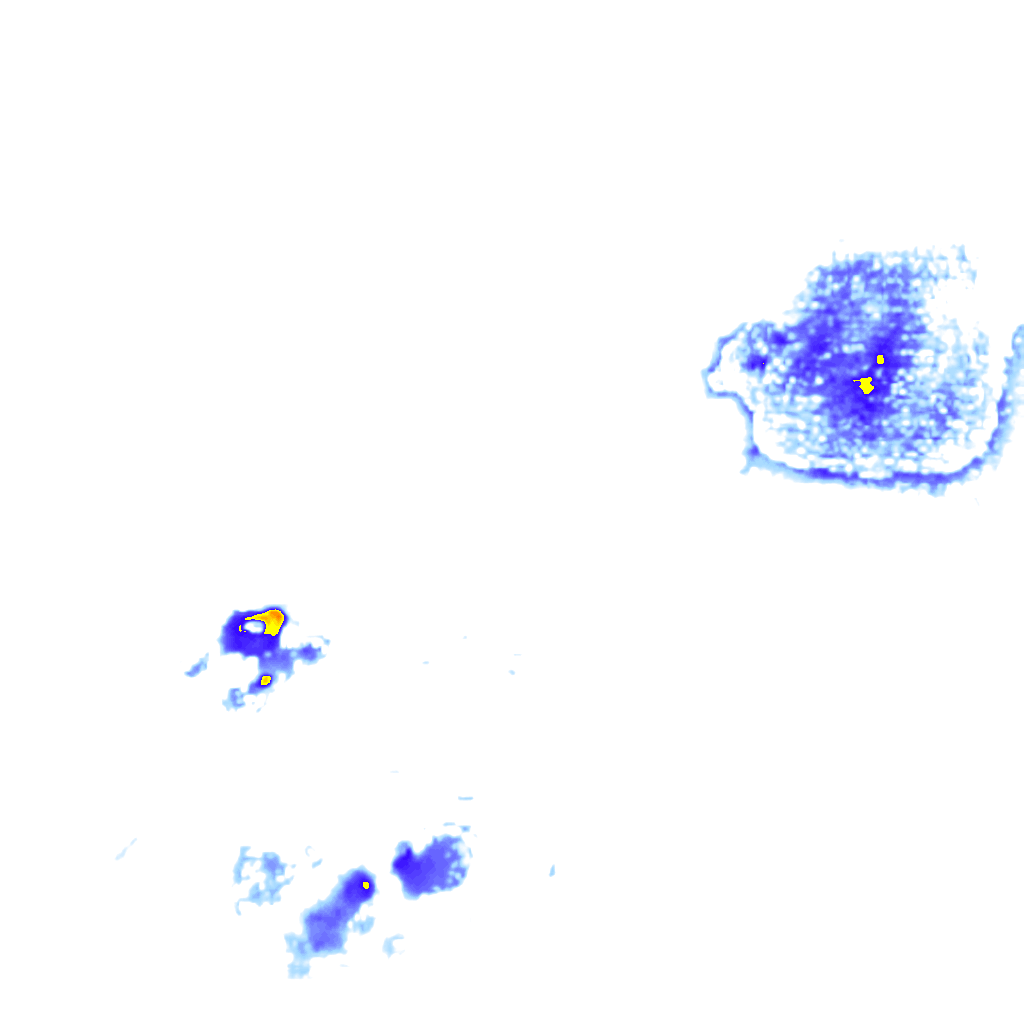Image Layer