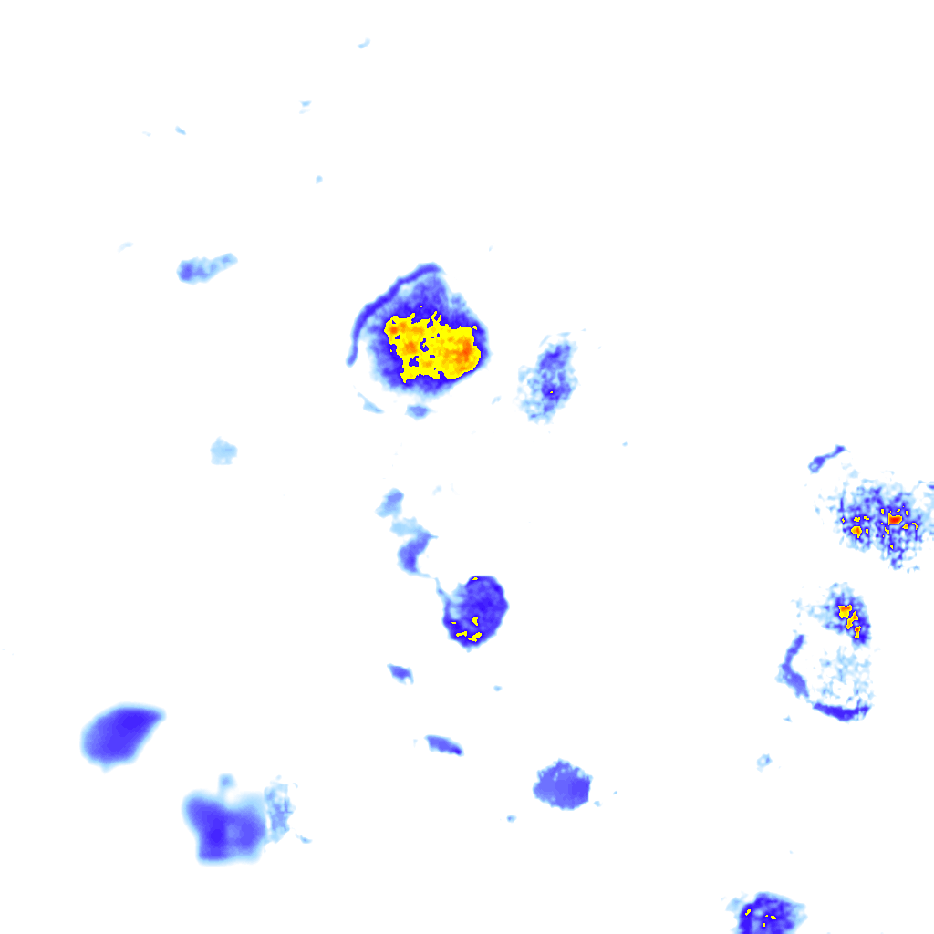 Image Layer