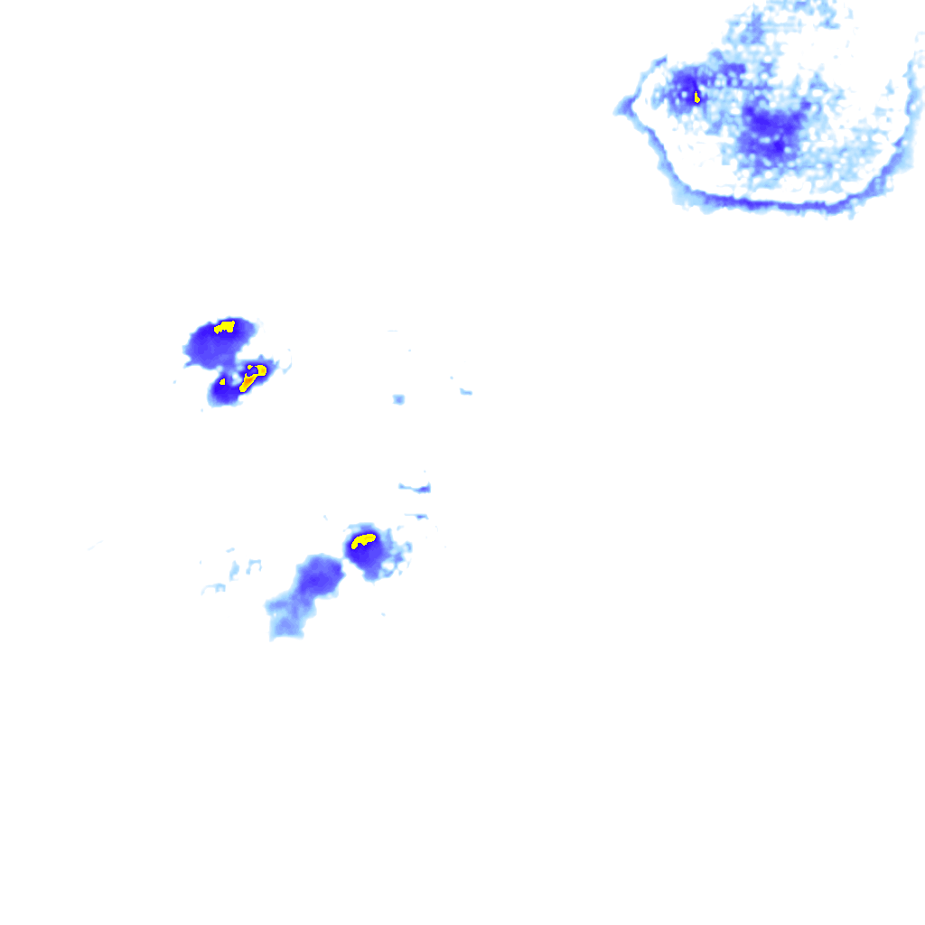 Image Layer