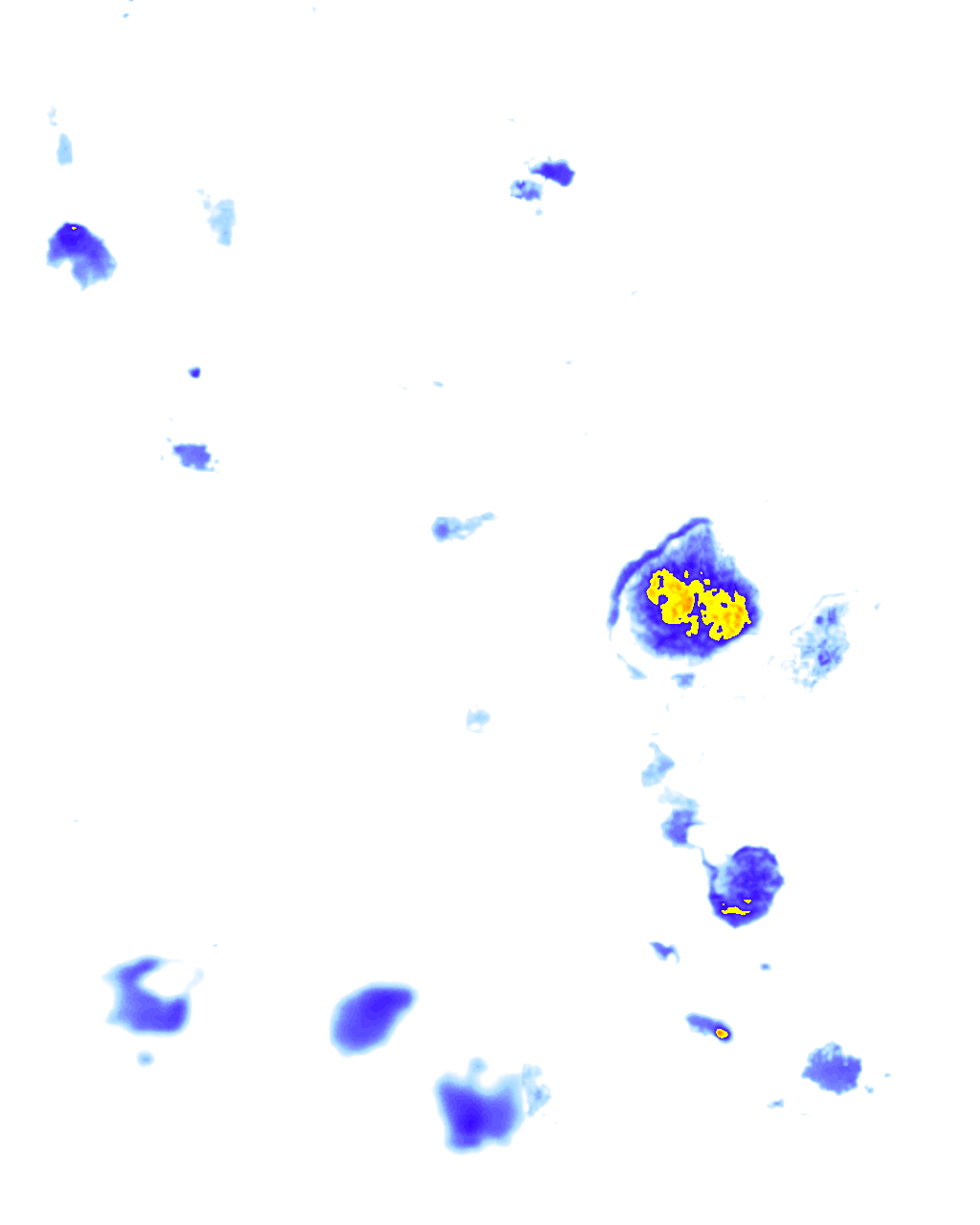Image Layer