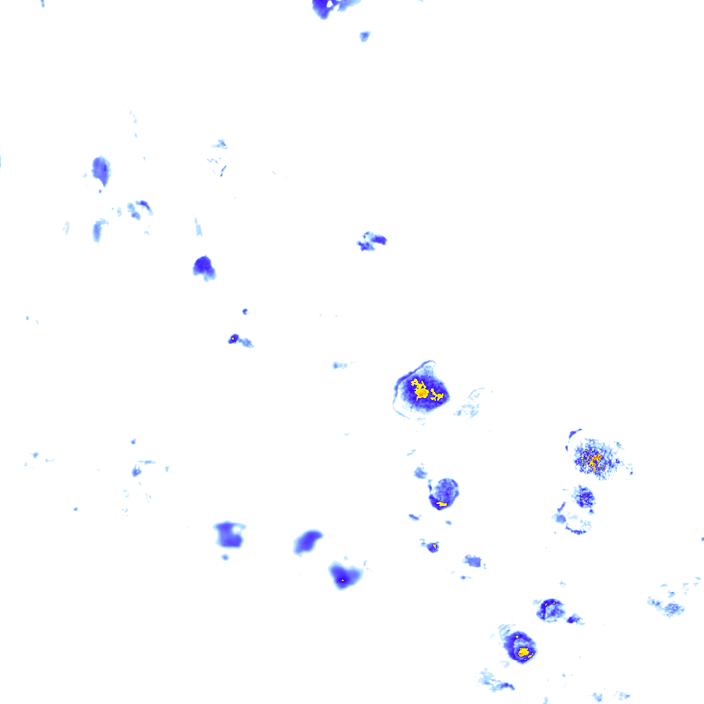 rainLayer