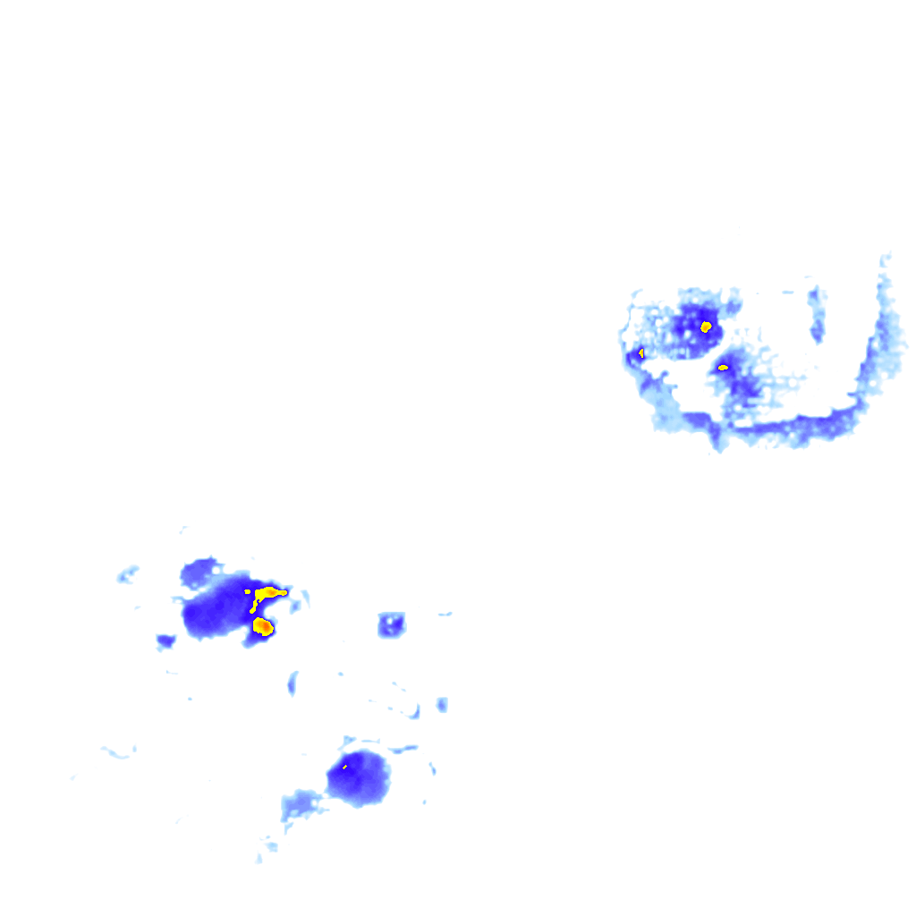 rainLayer