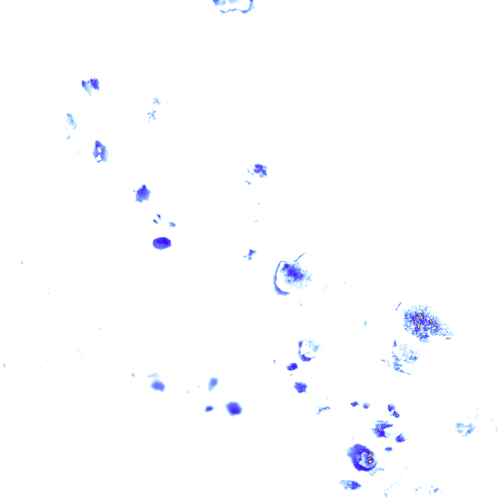 Image Layer
