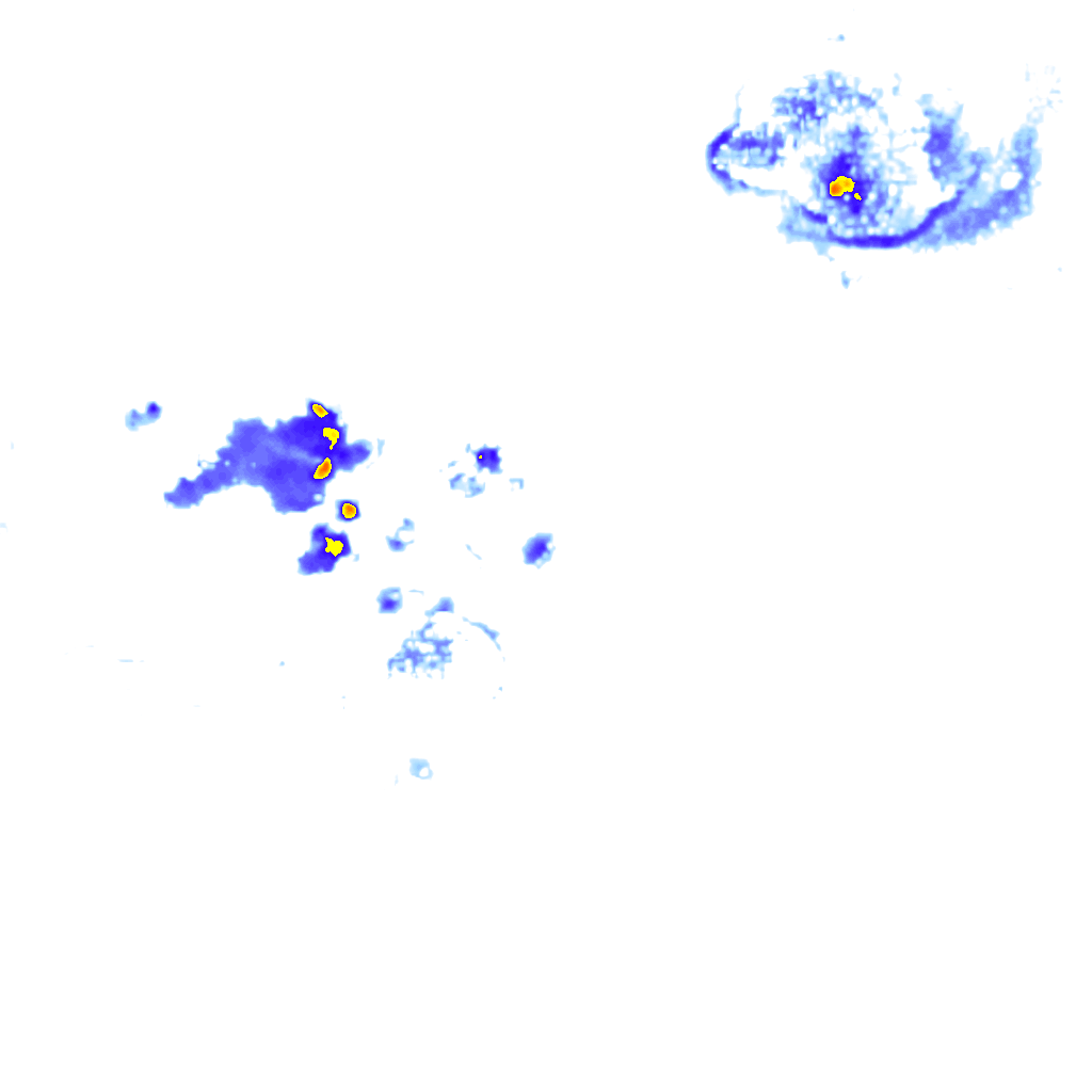 Image Layer
