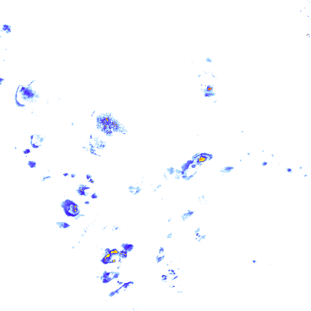 rainLayer