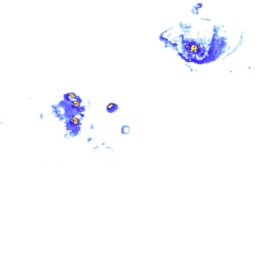 Image Layer