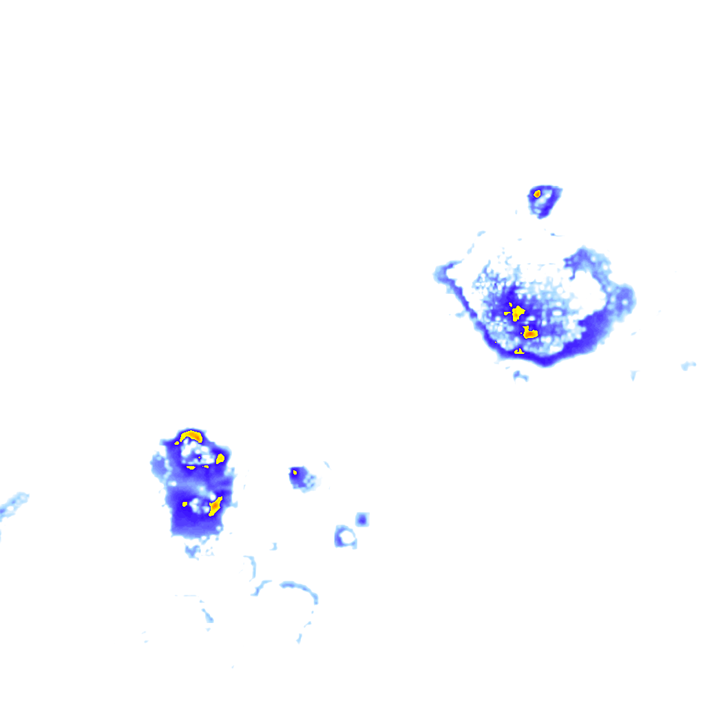 Image Layer