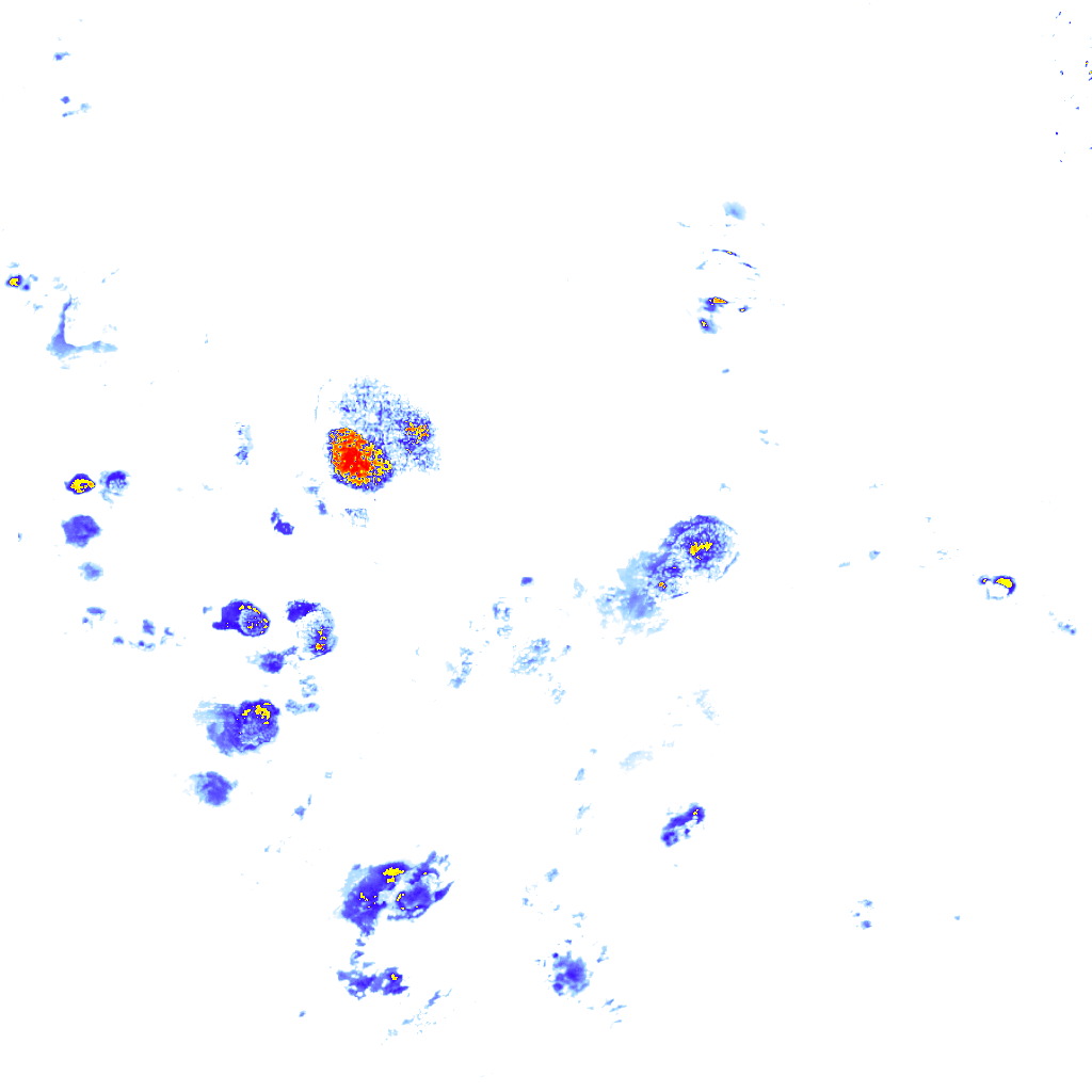 rainLayer