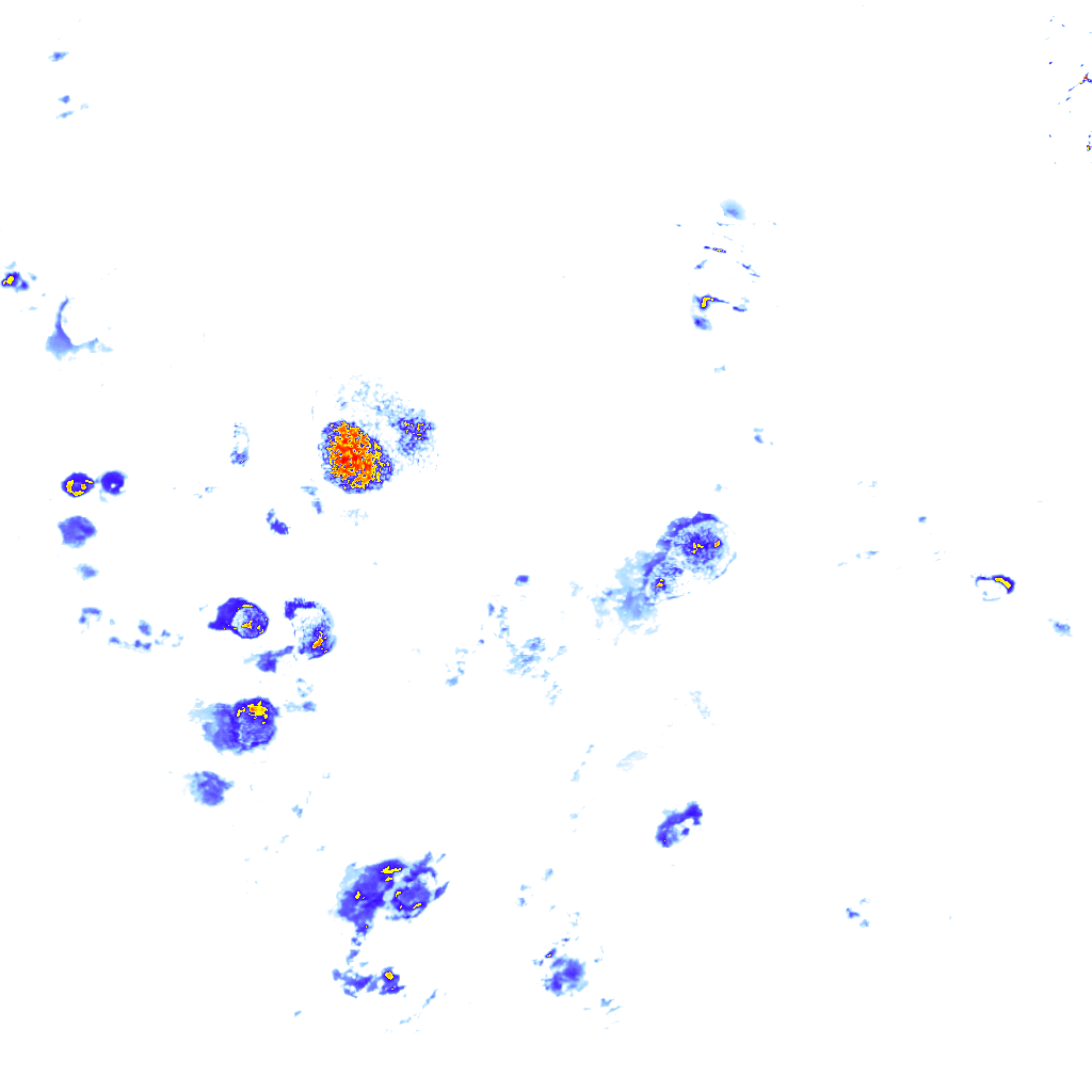 Image Layer