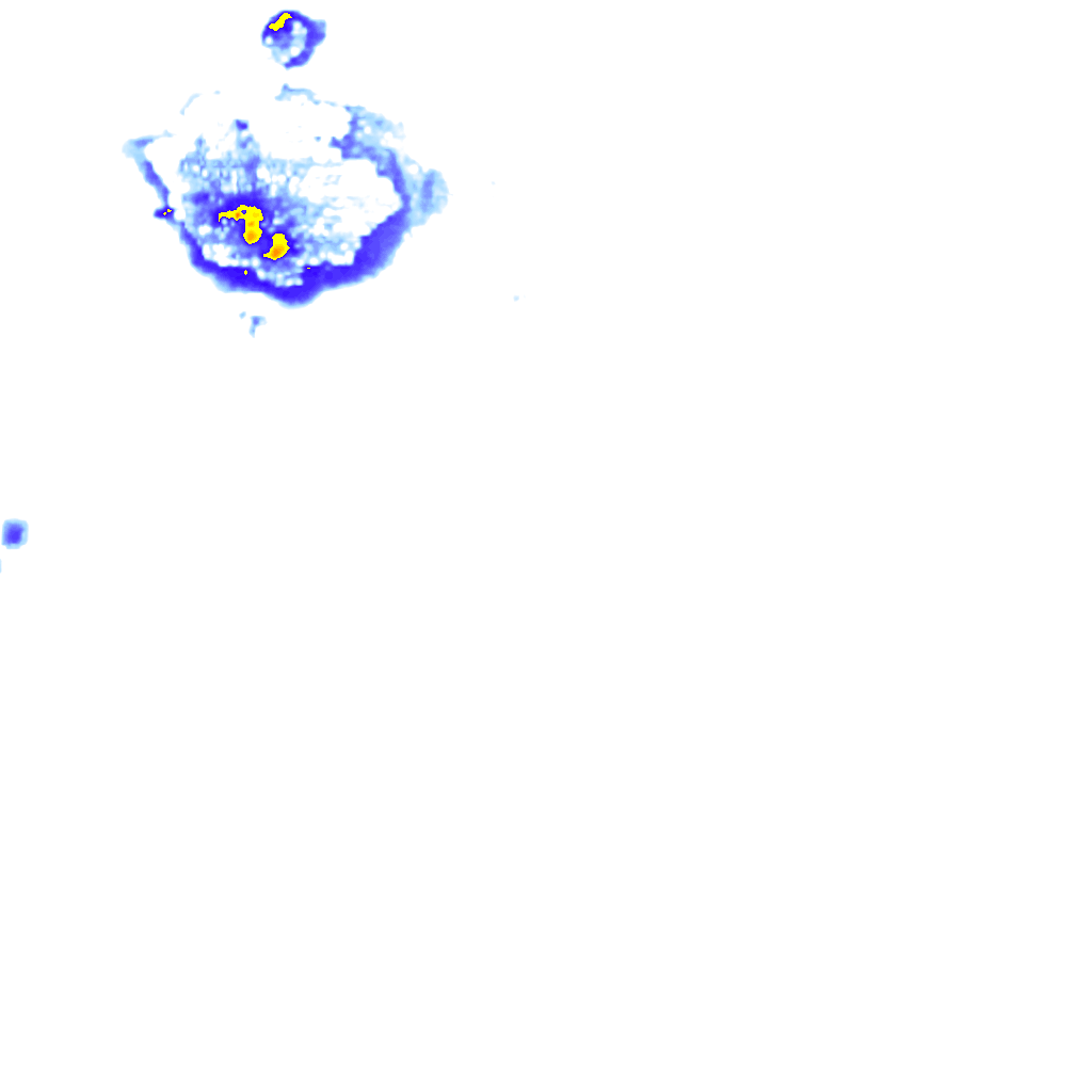 Image Layer