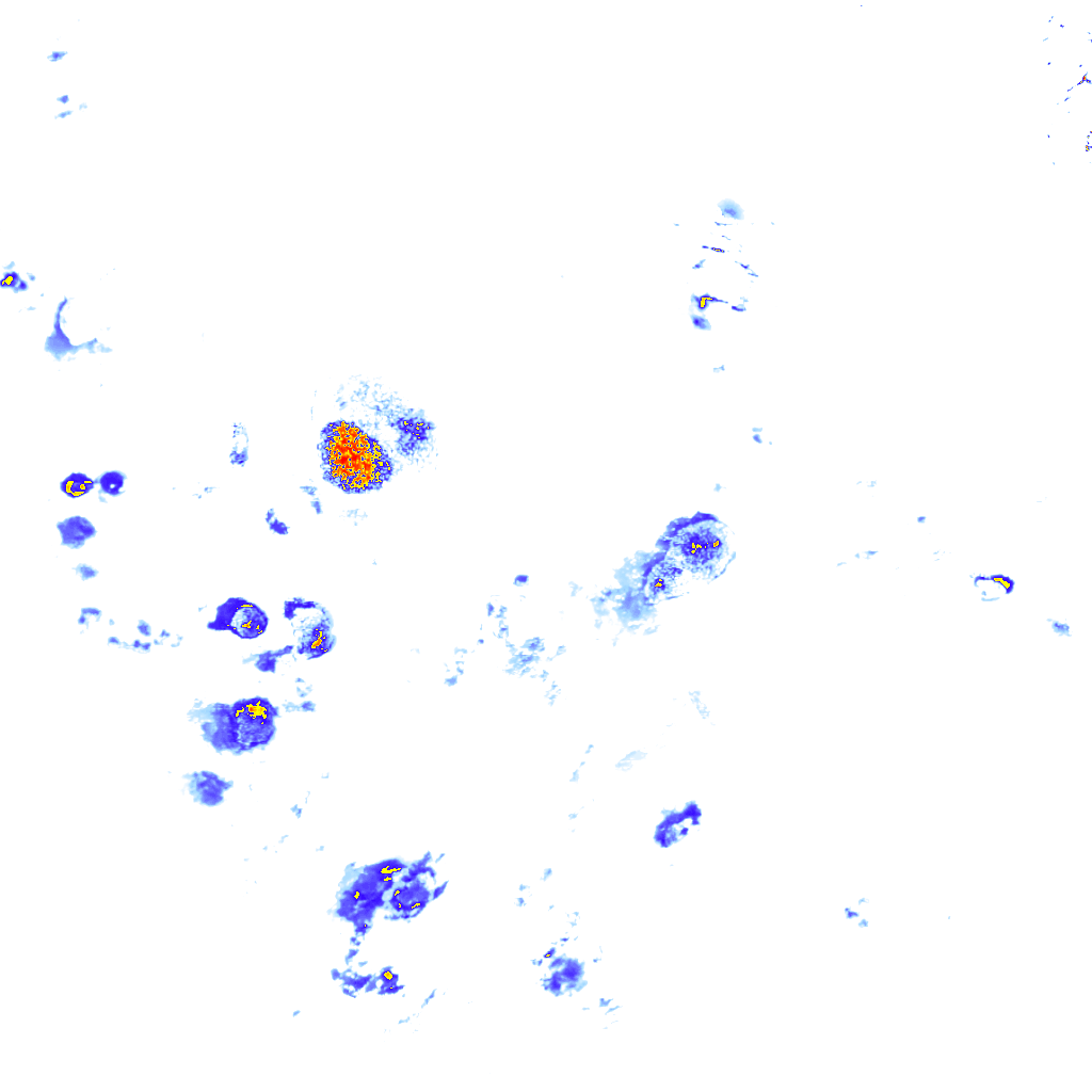 Image Layer