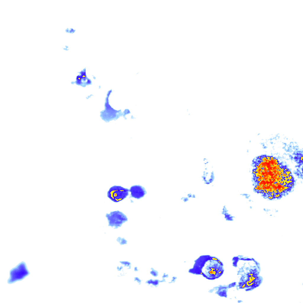Image Layer