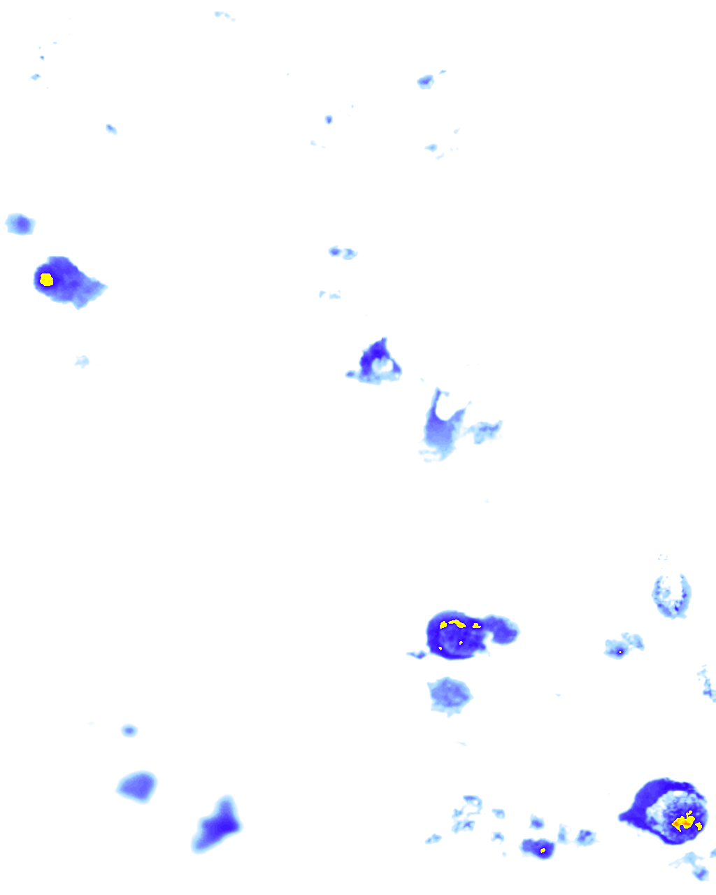 Image Layer