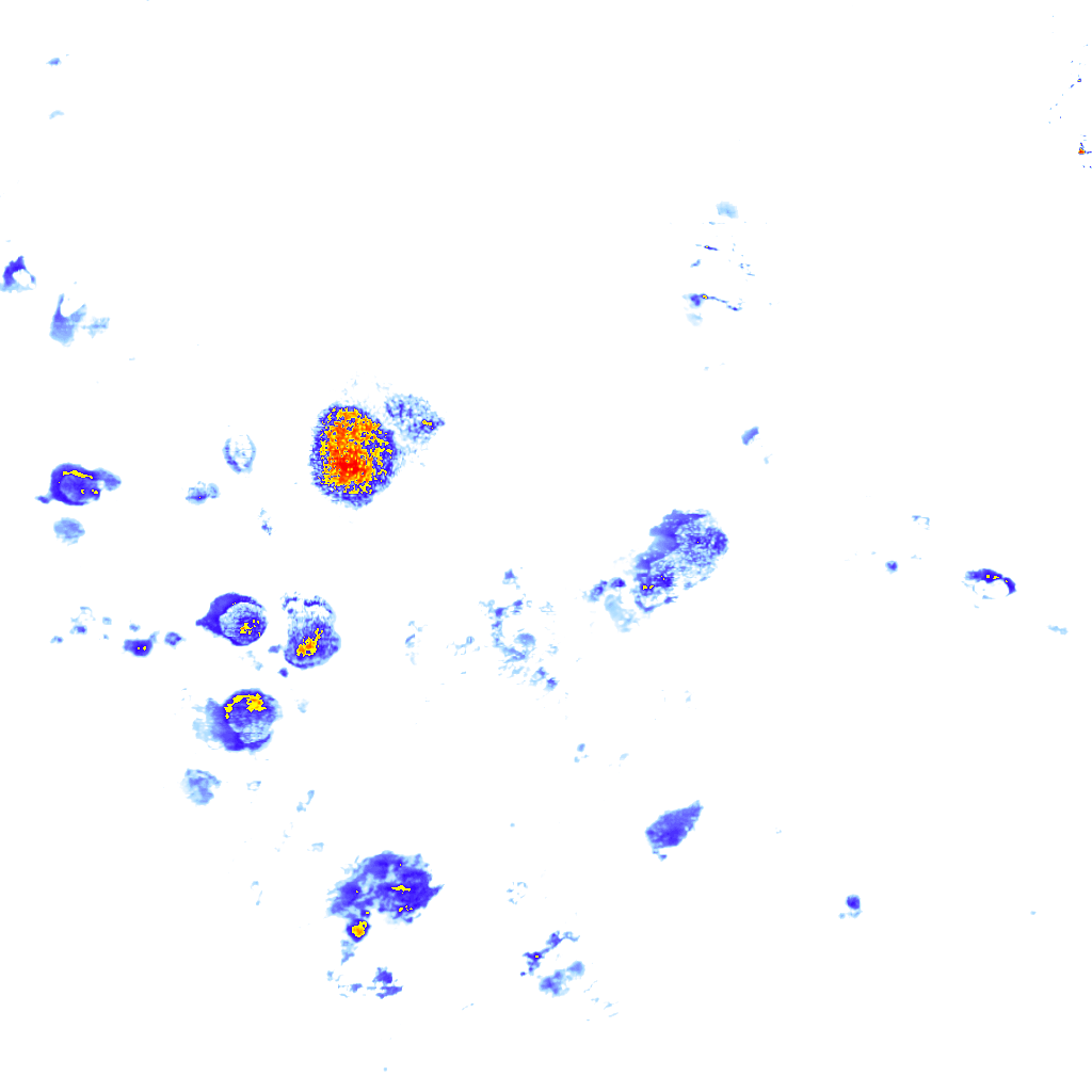 Image Layer