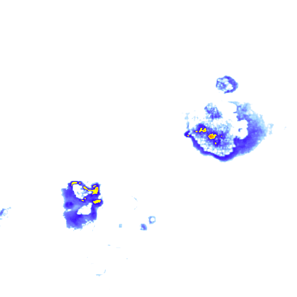 Image Layer