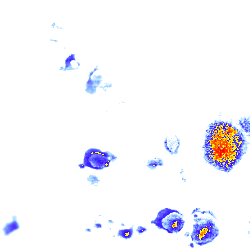 rainLayer