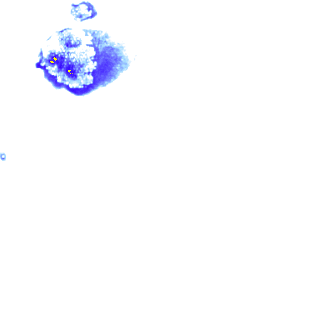 rainLayer