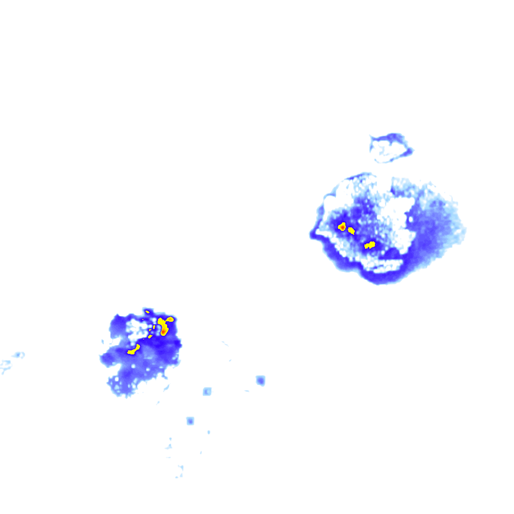 rainLayer